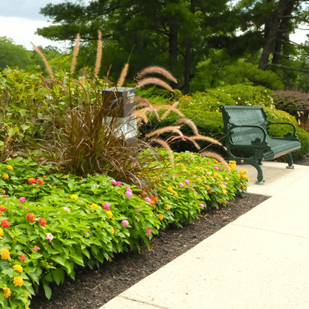 Commercial Outdoor Enhancements